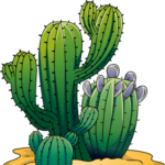 Profile picture of Caring Cactus